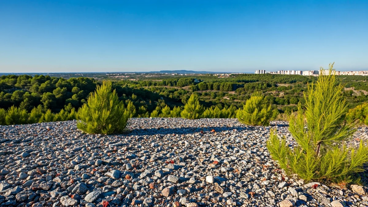 Image of a restored landfill with native vegetation in Albox, Andalusia.