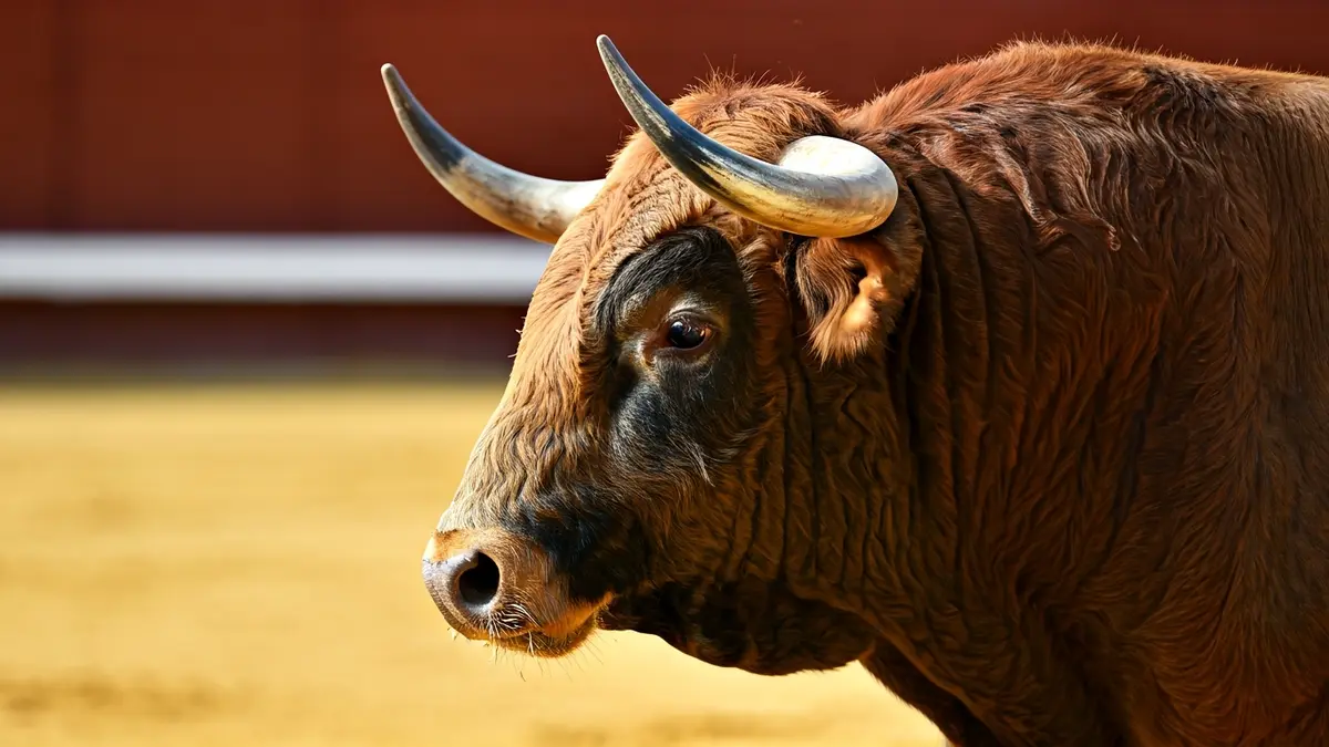 Imagen de un toro bravo en una plaza de toros, con cuernos prominentes y mirada intensa.