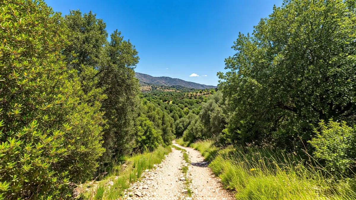Generic image of a natural trail in Andalucía, with lush vegetation and blue sky.