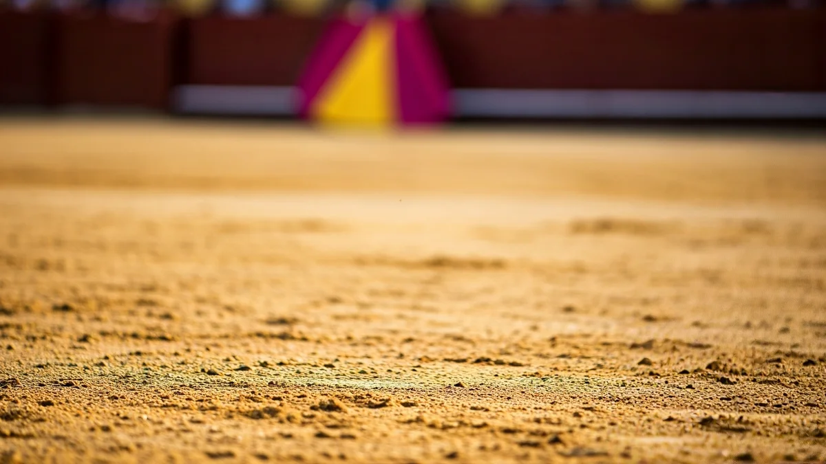 Imagen de la arena de una plaza de toros, con capotes desenfocados al fondo.
