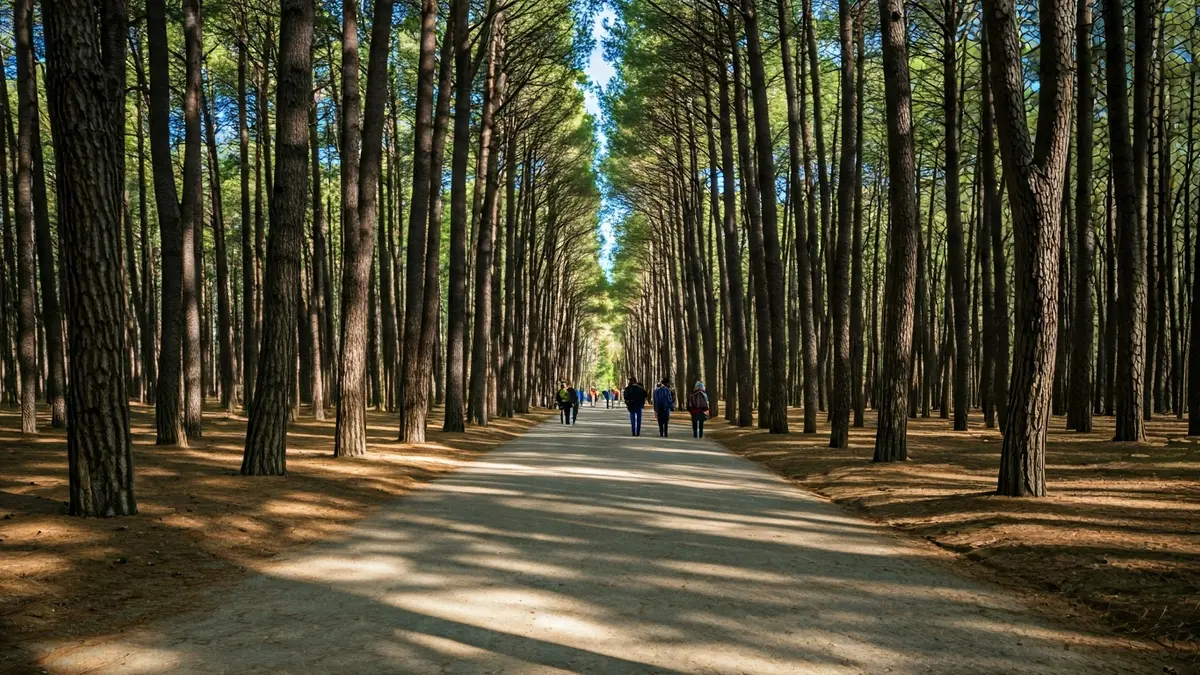 Image of a natural environment representing the future Recreational and Environmental Education Center in La Forestal, Rota.