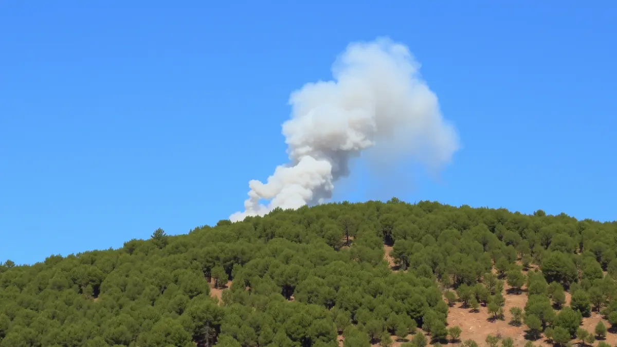 Imagen genérica de una columna de humo sobre un bosque, simulando un incendio forestal.