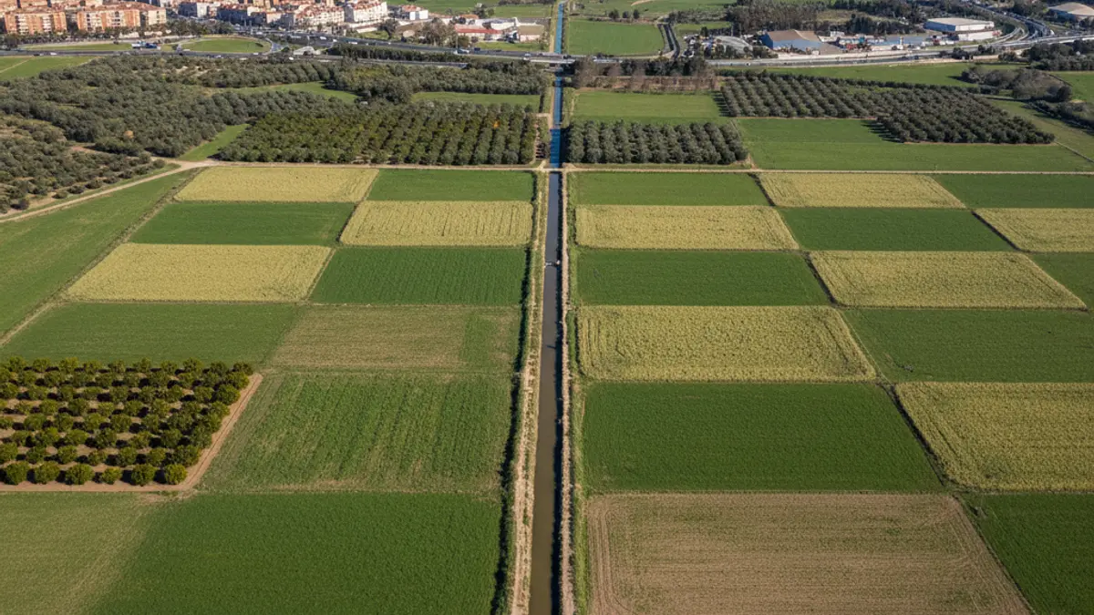 Aerial image of an agricultural plain with irrigation channels and urban areas in the background.