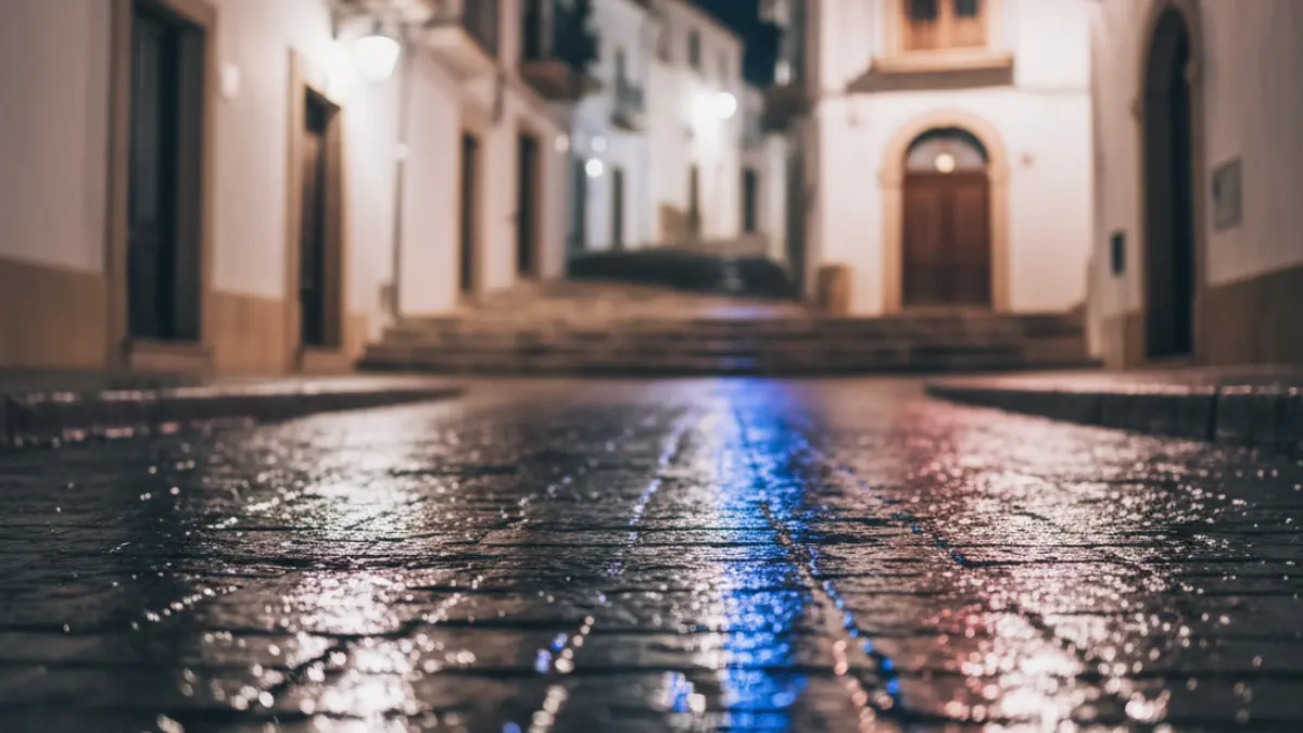 Generic image of police emergency lights reflected on wet asphalt.