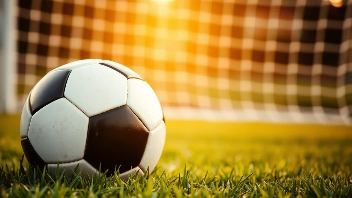 Generic image of a soccer ball on a stadium pitch, with a blurred goal in the background.