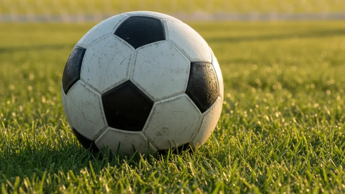 Generic image of a soccer ball on a green grass field.