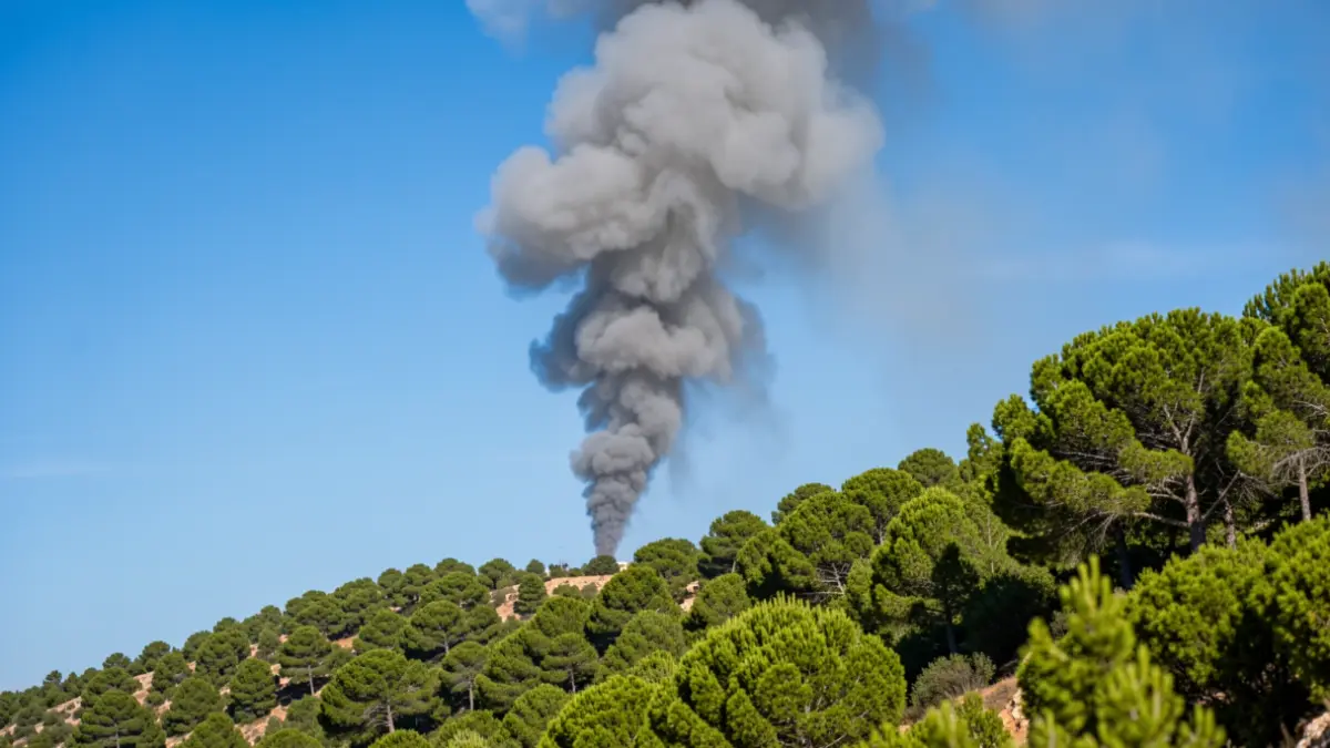 Generic image of a column of smoke rising over a pine hillside in Andalucía.