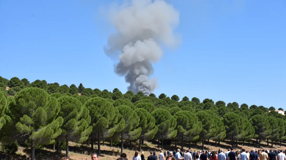 Generic image of a column of smoke rising over a pine forest hillside in Andalucía.