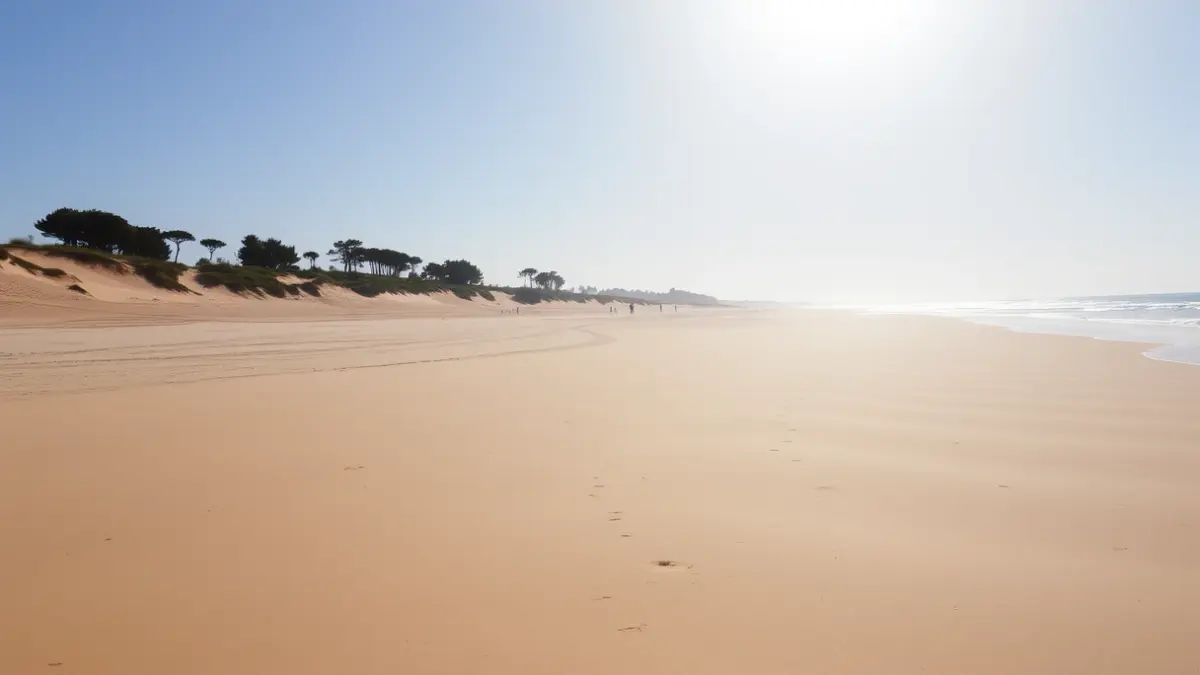 Generic image of a Huelva beach with dunes and pine forests.