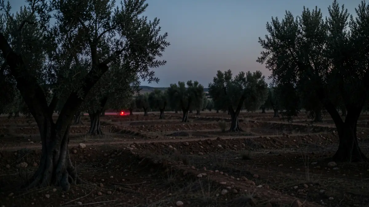Paisaje rural sombrío en Andalucía al anochecer con una luz roja distante.