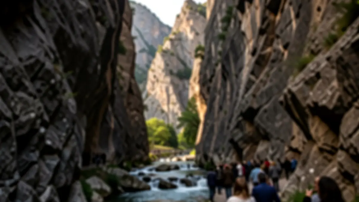 Generic image of a natural canyon with vegetation and a stream.