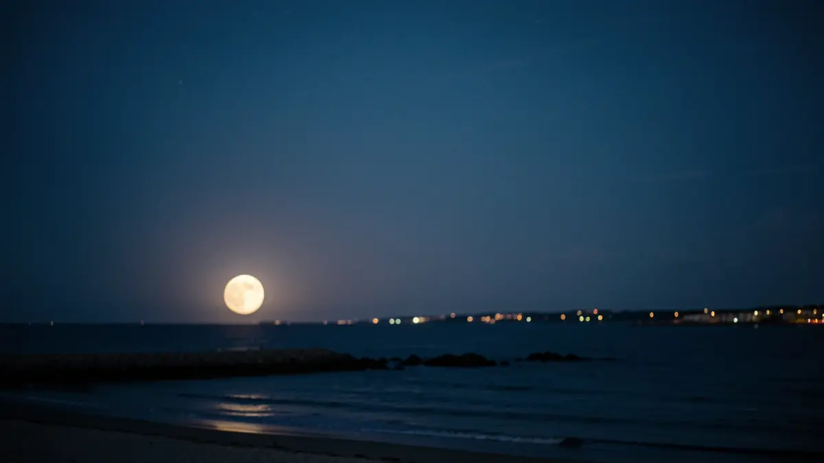 Generic image of a full moon low on the horizon over a dark coastline.