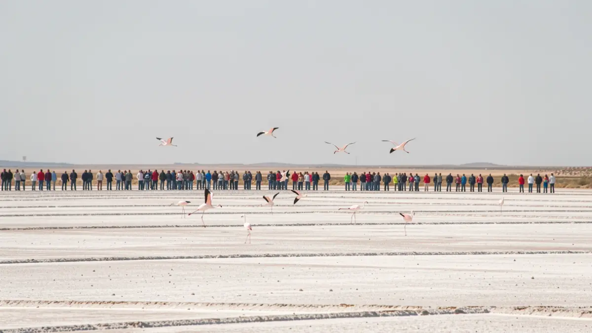 Desolate landscape of dry salt flats with flamingos taking flight.
