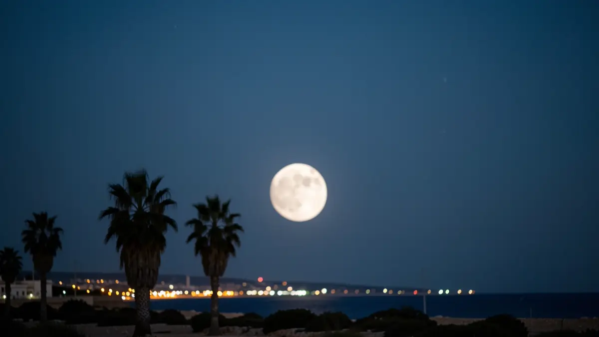 Luna de Fresa visible sobre la costa de Almería con siluetas de palmeras y luces urbanas.