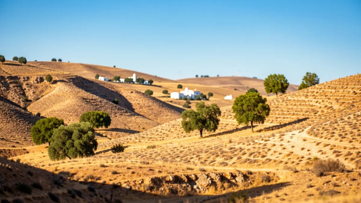 Paisaje andaluz con colinas secas y soleadas bajo un cielo azul brillante.