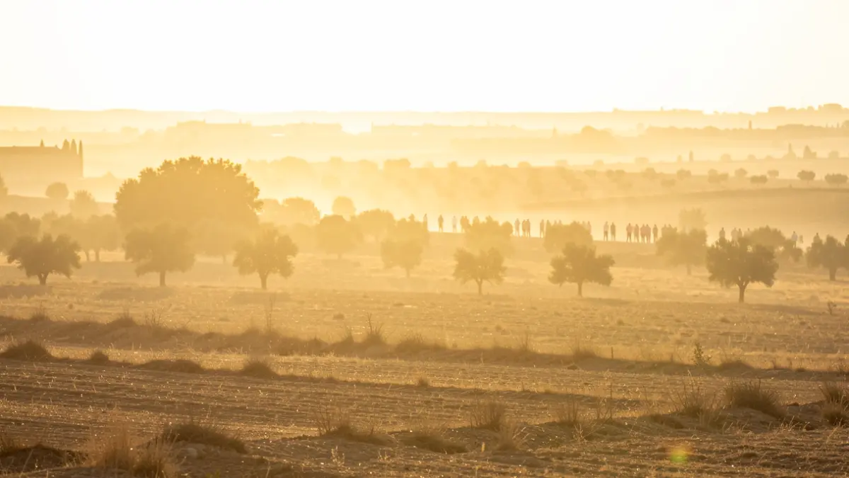 Imagen genérica de un paisaje seco bajo un sol intenso durante un episodio de calor extremo.