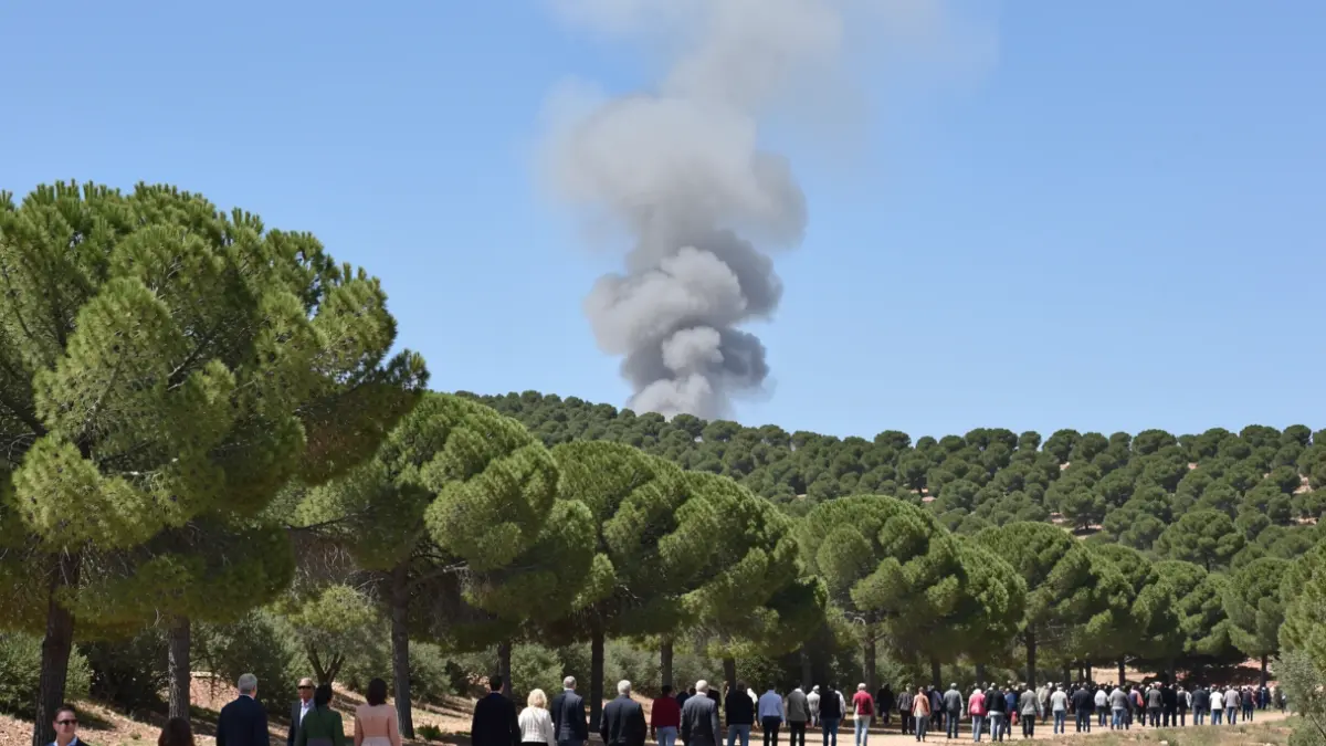 Generic image of a smoke column rising over a pine forest in Andalusia.