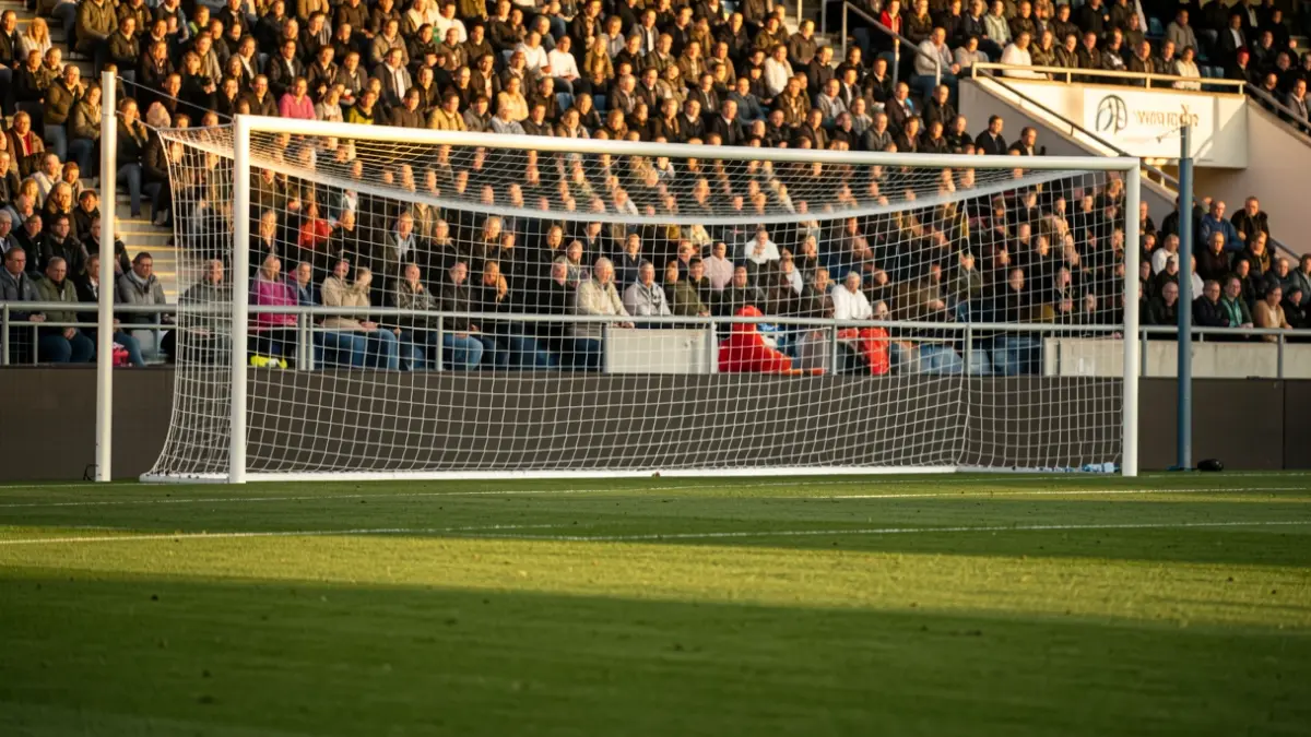 Generic image of a football pitch at sunset.
