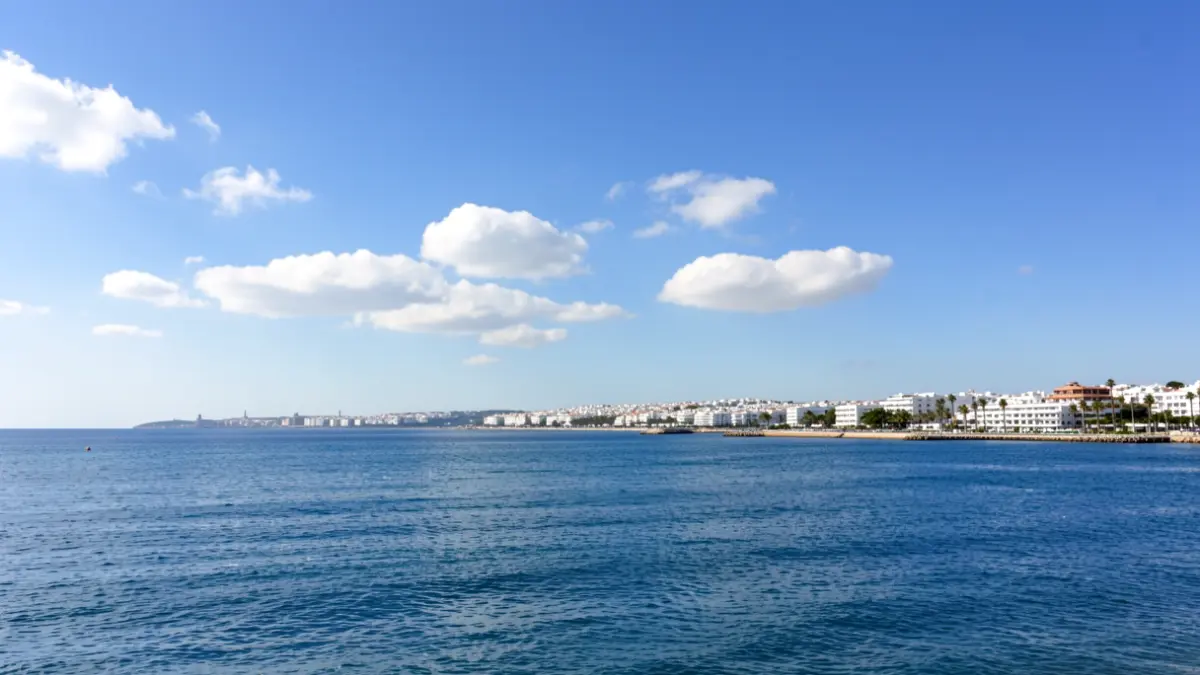 Sunny sky over the Mediterranean Sea with white buildings and palm trees on the Malaga coast.