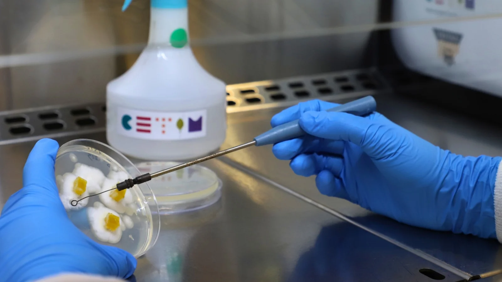 CETIM leverages biotechnology and circular economy to create future food proteins