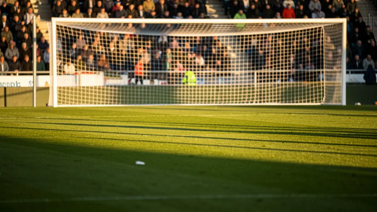 Generic image of a football pitch at sunset.