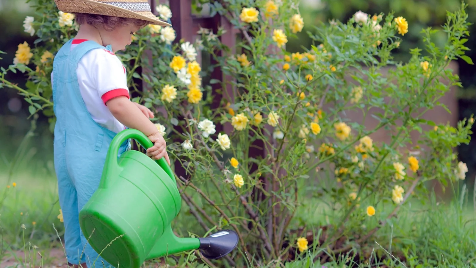 PRODUCTOS QUÍMICOS PARA DEPURAR AGUAS RESIDUALES 