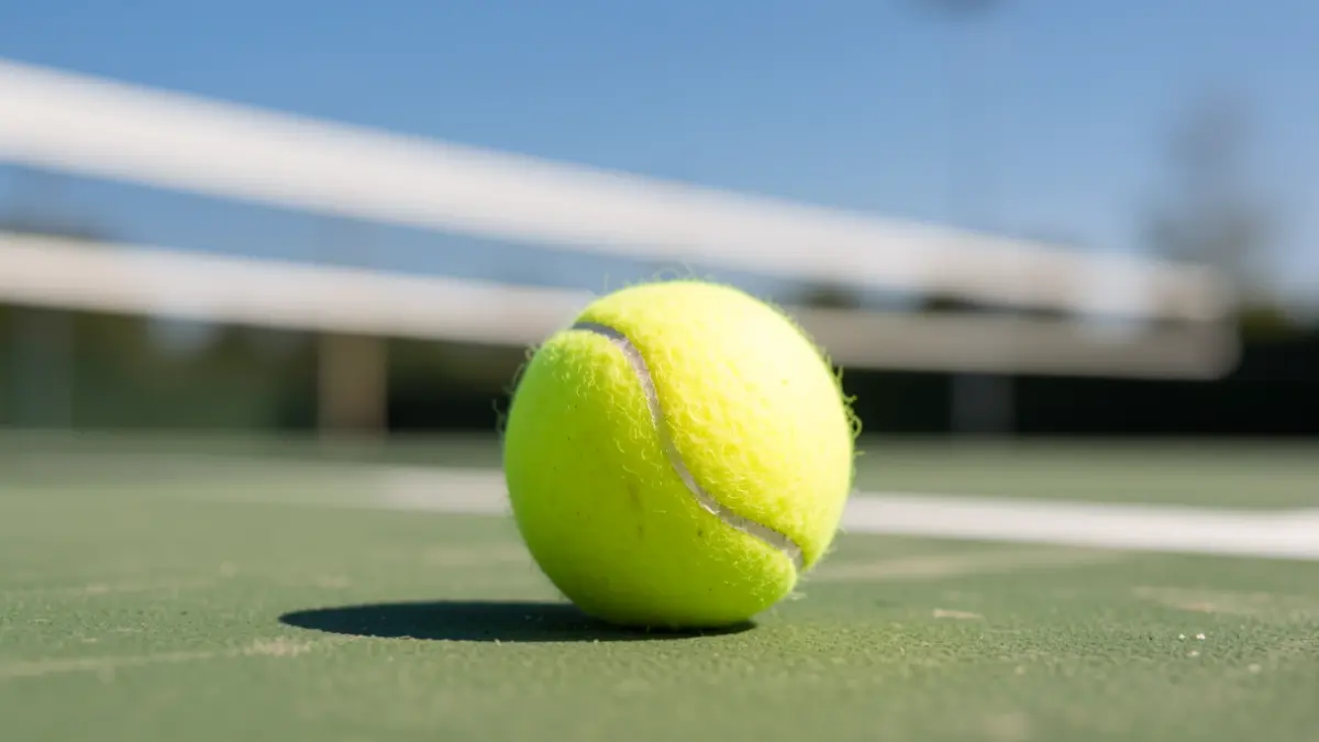 Close-up of a paddle tennis ball on the court.